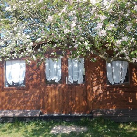 Chambre Studio Photo Chalet Sdb Partagee A Proximite Chavagne Ngoại thất bức ảnh